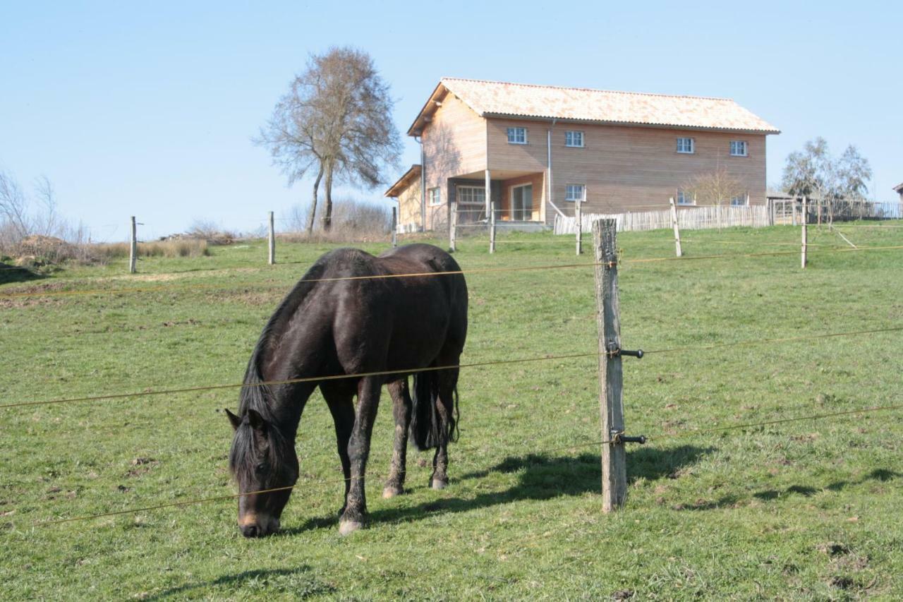 Le Petit Durbec Villa La Force  Kültér fotó